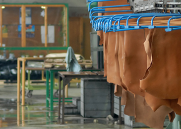 Discover how a real Automotive tannery works